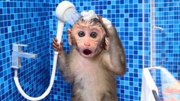 Best Kids Picnic Sets & Outdoor Play Gear 2026 | Complete Family Investment Guide