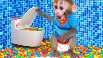 Bathroom Safety & Smart Snacking - What Every Parent Needs to Know